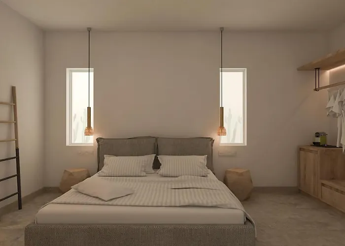 酒店 Apiro Mykonos